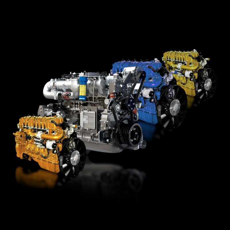 Двигатель газовый YC6G250N-50  