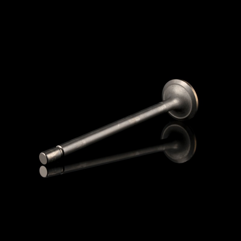 Клапан выпускной M2A00-1003103CSF1